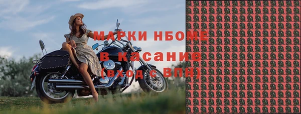 гидра Аркадак