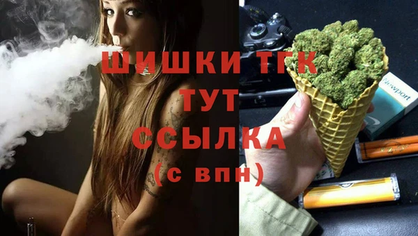 гидра Аркадак